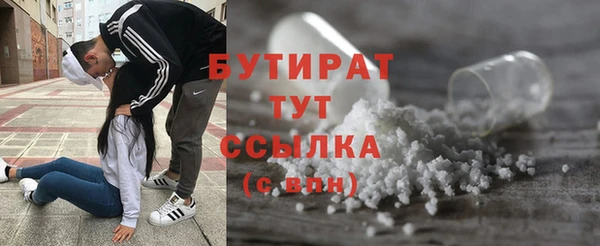 мдпв Каменка