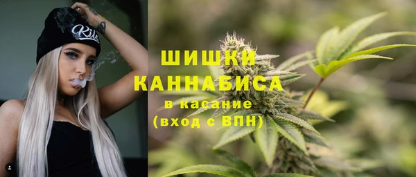 мдпв Каменка