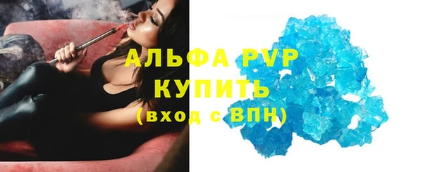 мдпв Каменка