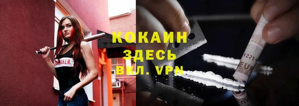 мдпв Каменка