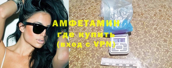 мдпв Каменка