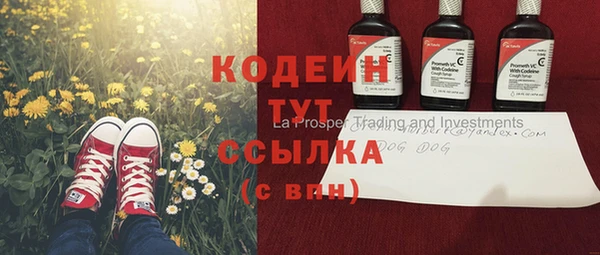 мдпв Каменка