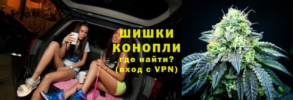 мдпв Каменка