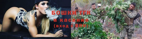 a pvp Каменногорск